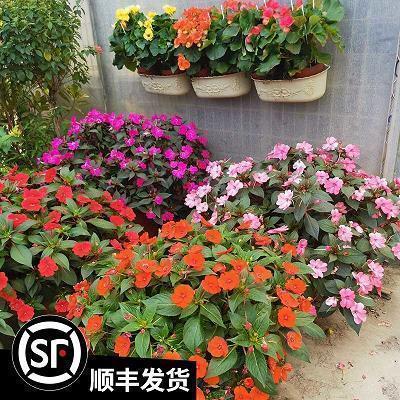 关于年终尾牙的说说17句