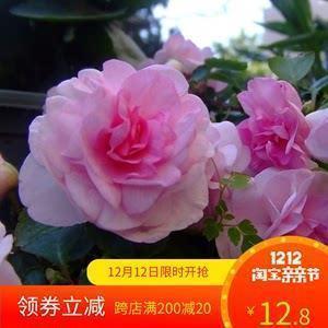 朋友出国留学祝福语短信