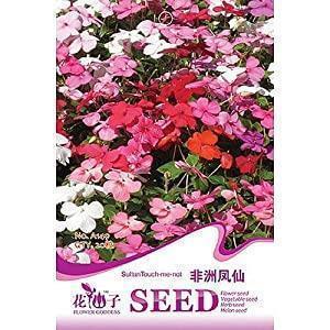 立冬节气祝福语短信(精选75条)