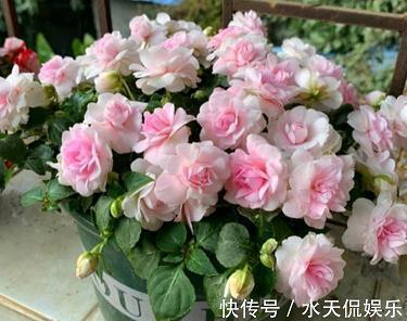硝烟弥漫