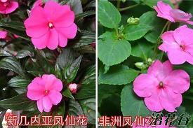 喝酒喝到伤心的句子 深夜喝酒伤感的句子(精选60句)