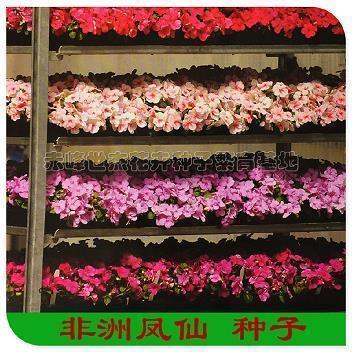送别句子说说或心情