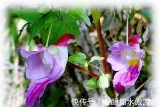 隔邻