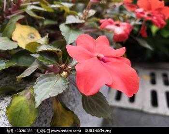 2021元宵节经典祝福语唯美文案说说