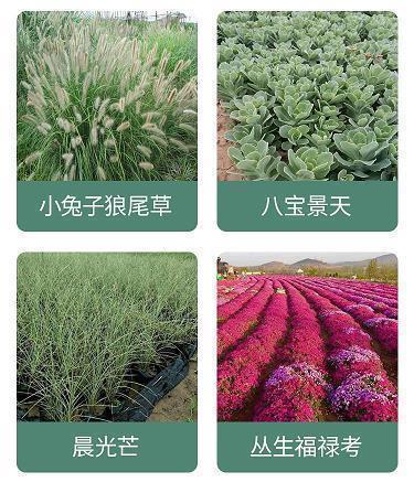 向救火英雄致敬词 向救火英雄致敬的说说14句