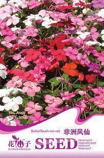 黦茶