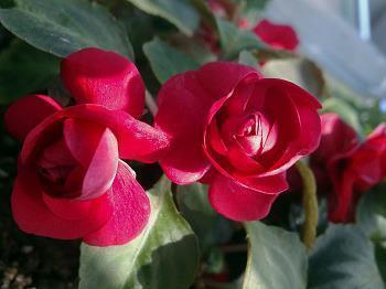 心累了的感情句子 感情的句子经典名言