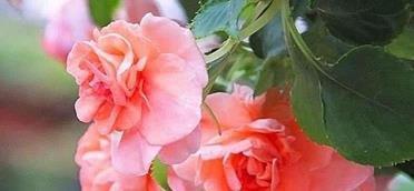 适合自己生日发的唯美句子 祝福自己生日精辟短句