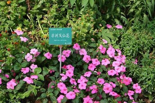 运动会加油稿霸气口号2021年