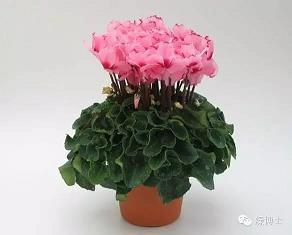 祈祷的句子