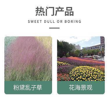 舒心又很正能量的短句 早上起床后发朋友圈的句子