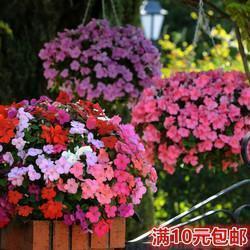 狩