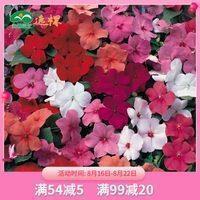 见好就收