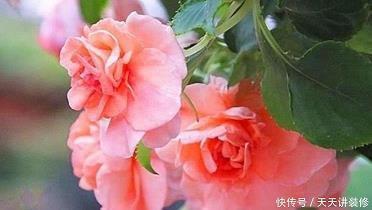 寝室文化标语