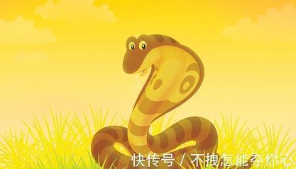 佐