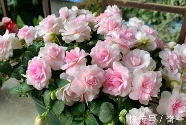 奸回不轨