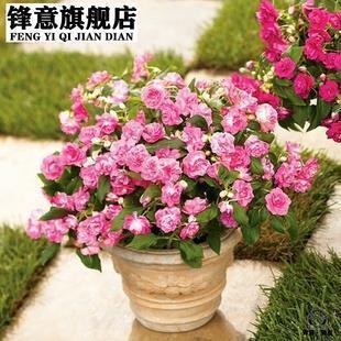 软谈丽语