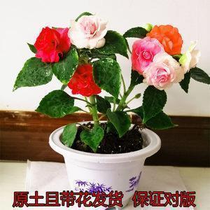 九月再见的心情语录 2022九月最后一天的心情说说