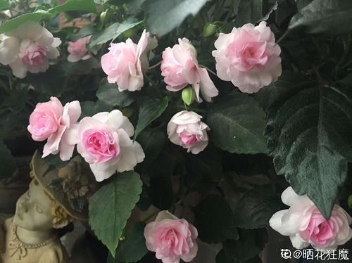 失恋伤感的说说 时间是全世界最好的测谎仪