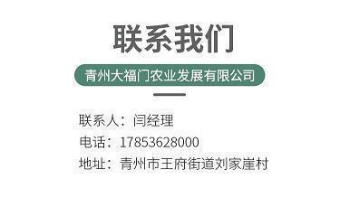 缵