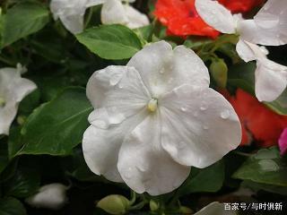 表示自己心情沉重的句子汇总79句