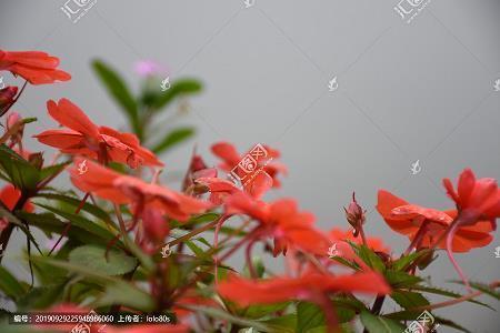 弃之度外