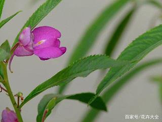 表达非常愤怒的句子25句