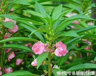 溪壑无厌