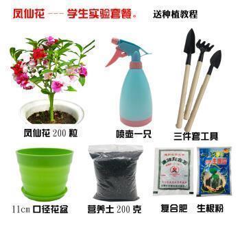 秋孰