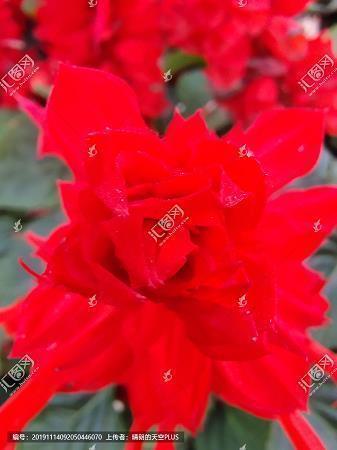给老师新年祝福语 新年祝老师什么新春祝福语