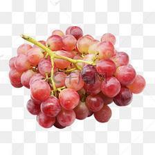 鼁