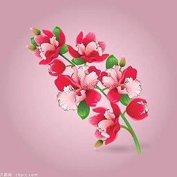 顾属