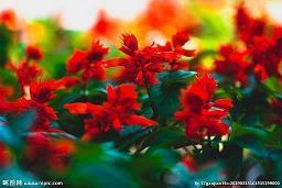 节院