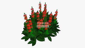齐言
