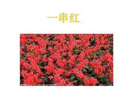 致自己的心情说说17句