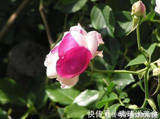 腊八节怎么写说说 腊八节写朋友圈的句子32句