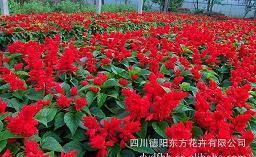 静堂