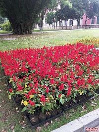 消防标语