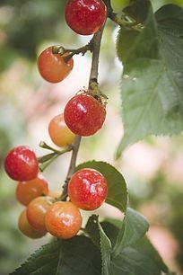 八月你好说说语录大全(精选140句)