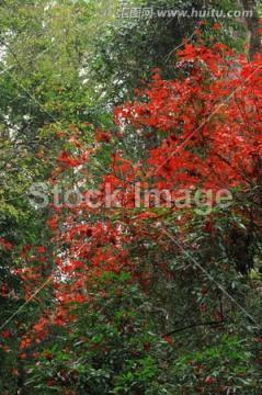 2020给哥哥的结婚祝福语