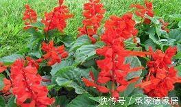輐