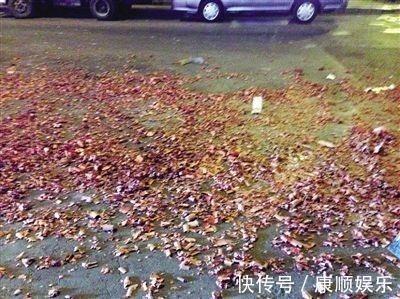 说孩子是神兽的说说句子 关于家有神兽的说说(精选17句)