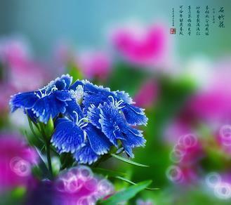 心烦句子表达心情不好的短句子说说，心累抖音文案