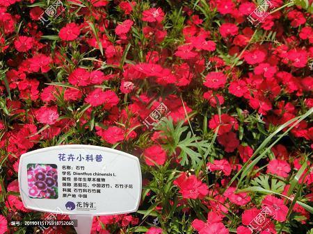 康有为简介