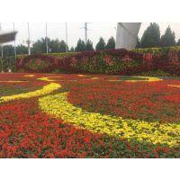 2020教师节祝福语短信大全