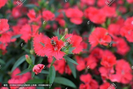 毕业生实习一分钟简短自我介绍精选