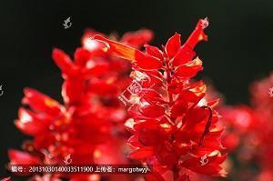 考