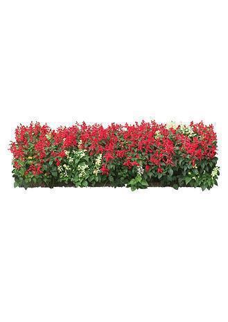 对自己所爱的人失望透顶的句子