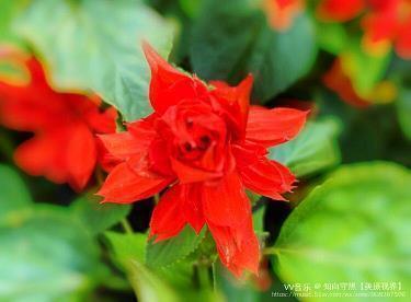 走心真挚的中秋节祝福语大全(精选77条)