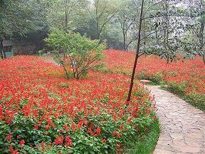 2021乔迁之喜祝福语四字